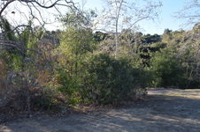 Enlarge photo 88