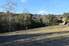 Enlarge photo 89