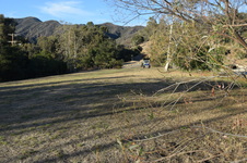 Enlarge photo 92