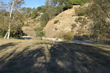 Enlarge photo 94