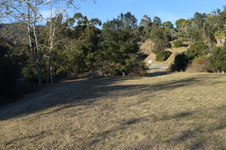 Enlarge photo 96