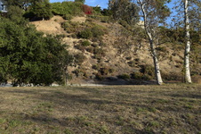 Enlarge photo 97