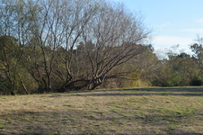 Enlarge photo 99