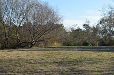 Enlarge photo 100
