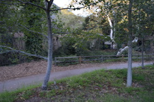 Enlarge photo 23