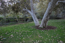Enlarge photo 28