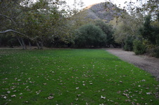 Enlarge photo 29