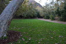 Enlarge photo 30