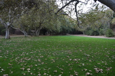 Enlarge photo 31