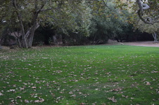 Enlarge photo 32