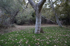 Enlarge photo 34
