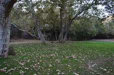 Enlarge photo 35