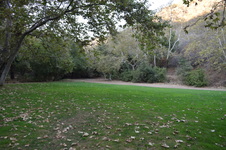 Enlarge photo 36