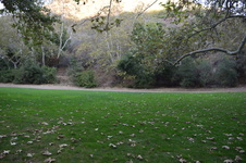 Enlarge photo 37