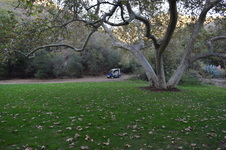 Enlarge photo 38