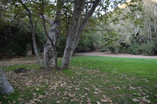 Enlarge photo 40