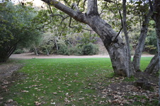 Enlarge photo 41