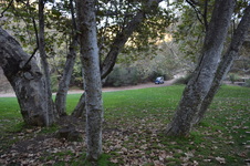 Enlarge photo 42