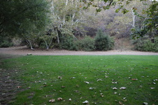 Enlarge photo 44