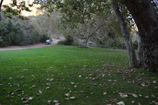 Enlarge photo 45