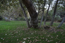 Enlarge photo 46