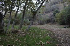 Enlarge photo 47