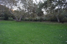 Enlarge photo 49