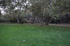 Enlarge photo 50