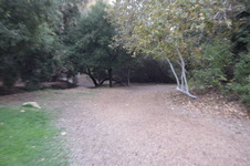 Enlarge photo 51