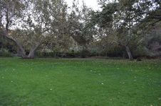 Enlarge photo 52