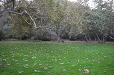 Enlarge photo 53
