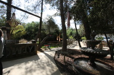 Enlarge photo 148