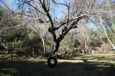 Enlarge photo 144