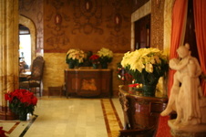 Enlarge photo 120