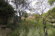 Enlarge photo 21