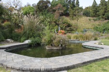 Enlarge photo 35
