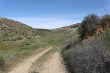 Enlarge photo 10