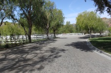 Enlarge photo 13