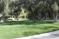 Enlarge photo 15