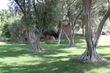 Enlarge photo 17
