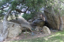 Enlarge photo 20