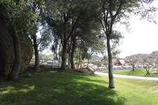 Enlarge photo 21