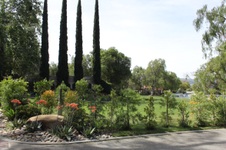 Enlarge photo 23