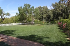 Enlarge photo 31