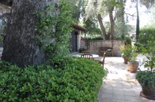 Enlarge photo 51