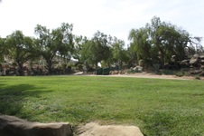 Enlarge photo 99