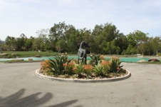 Enlarge photo 125