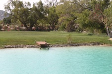 Enlarge photo 135