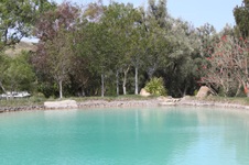 Enlarge photo 138