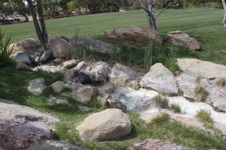 Enlarge photo 141